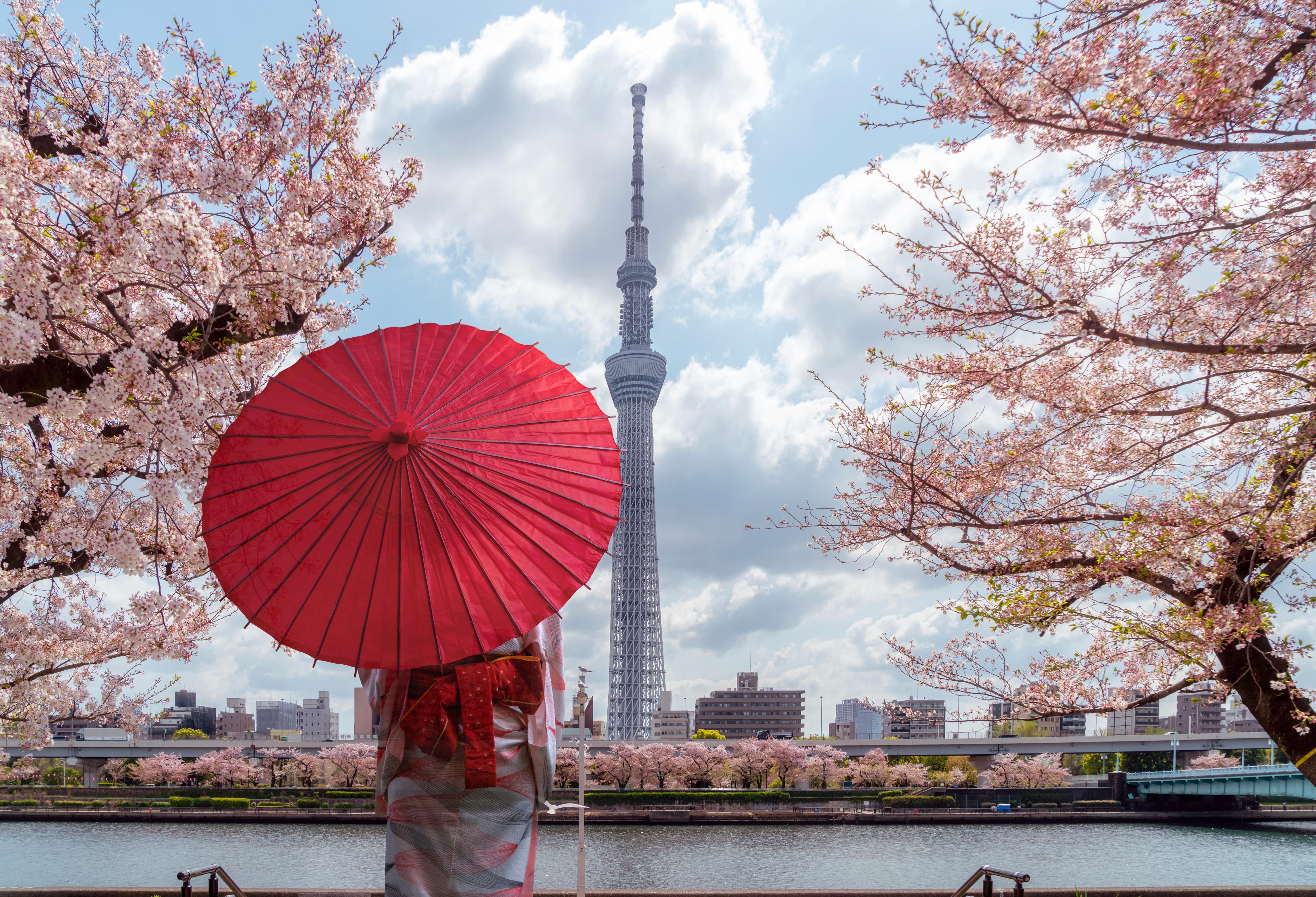 Tokyo, Japan – Tradition Meets Modern Life